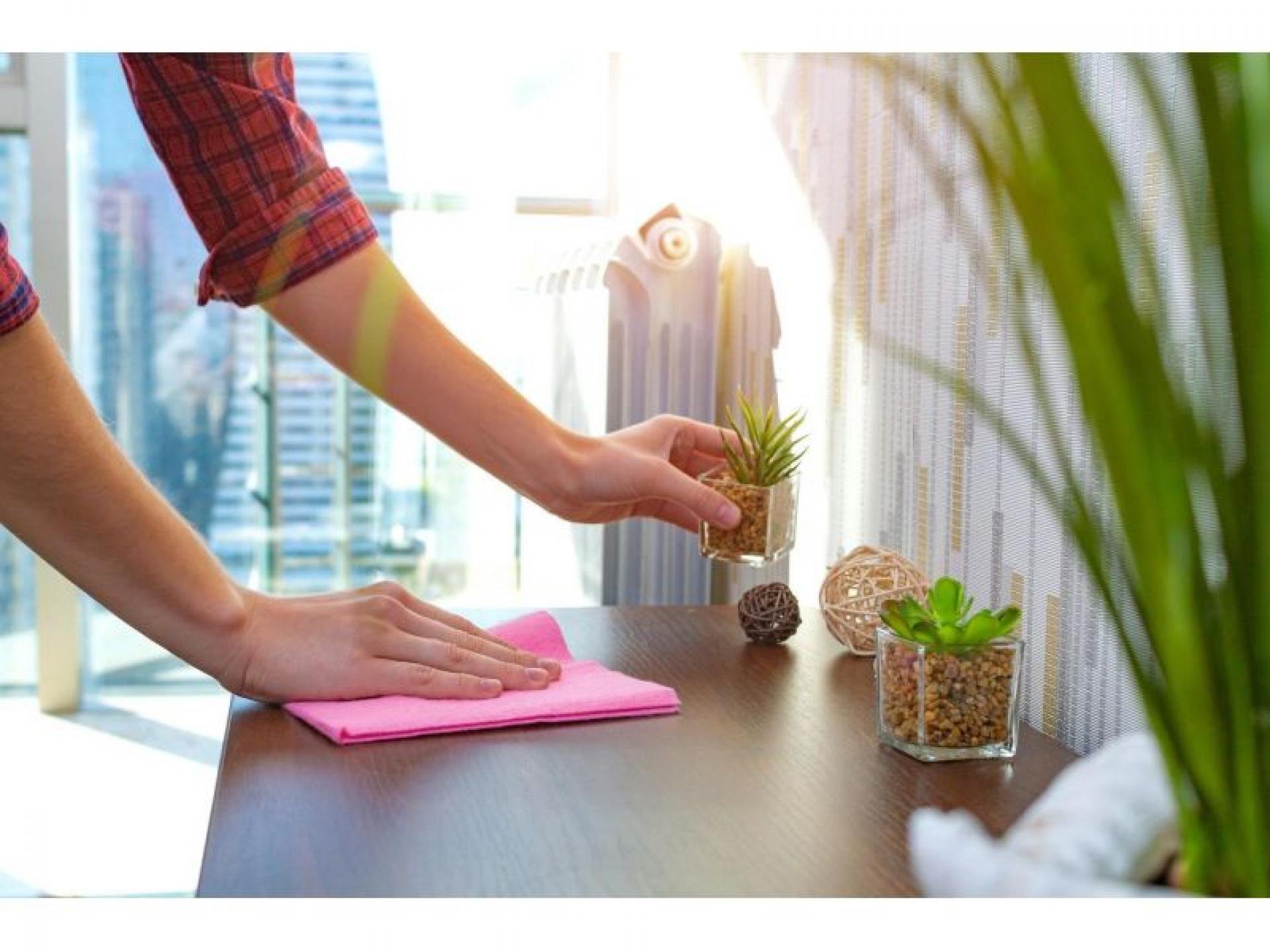 Domestic And Commercial Cleaning 548650 2