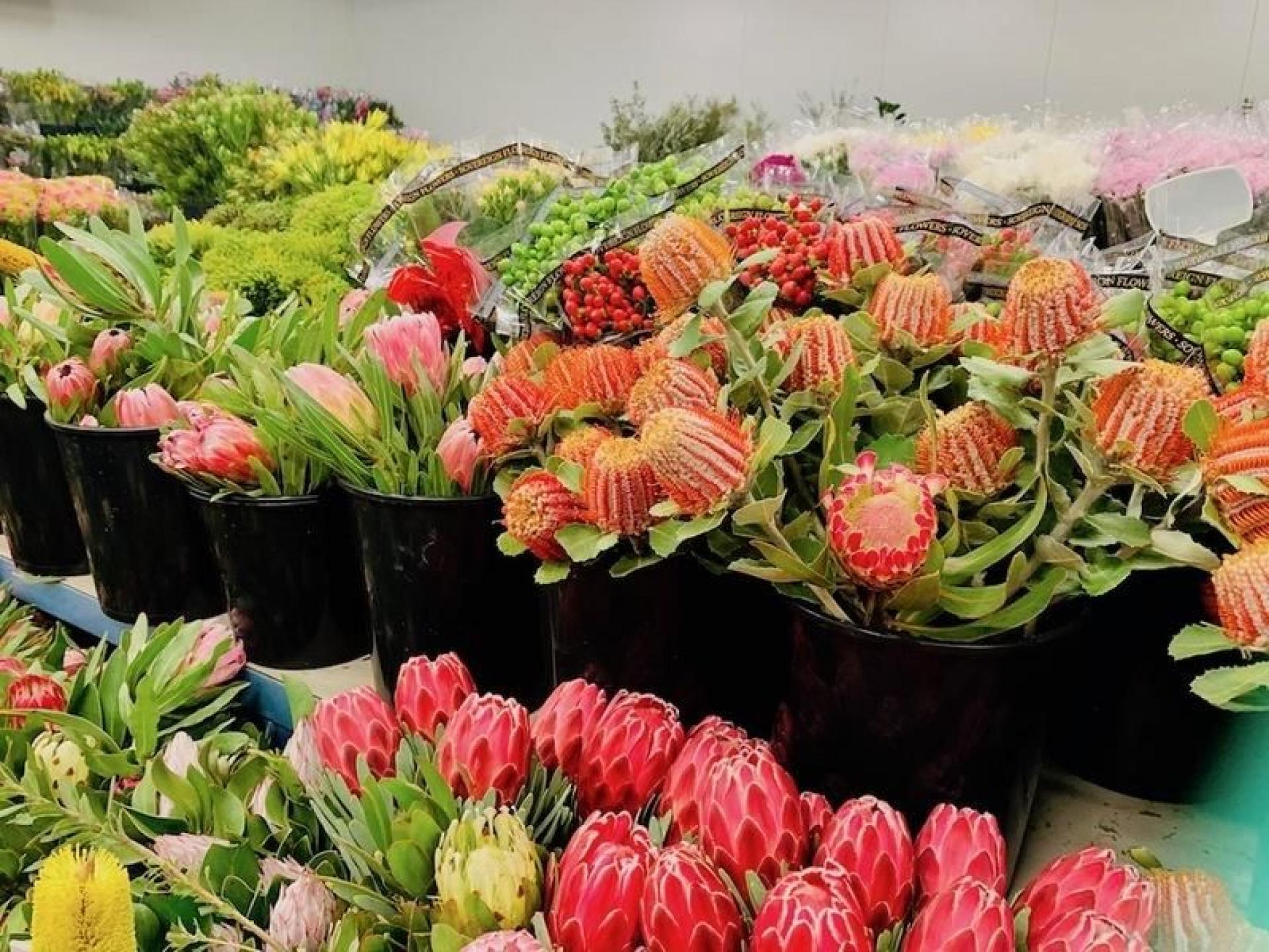 Fresh Flower Broker Providing 555545 1