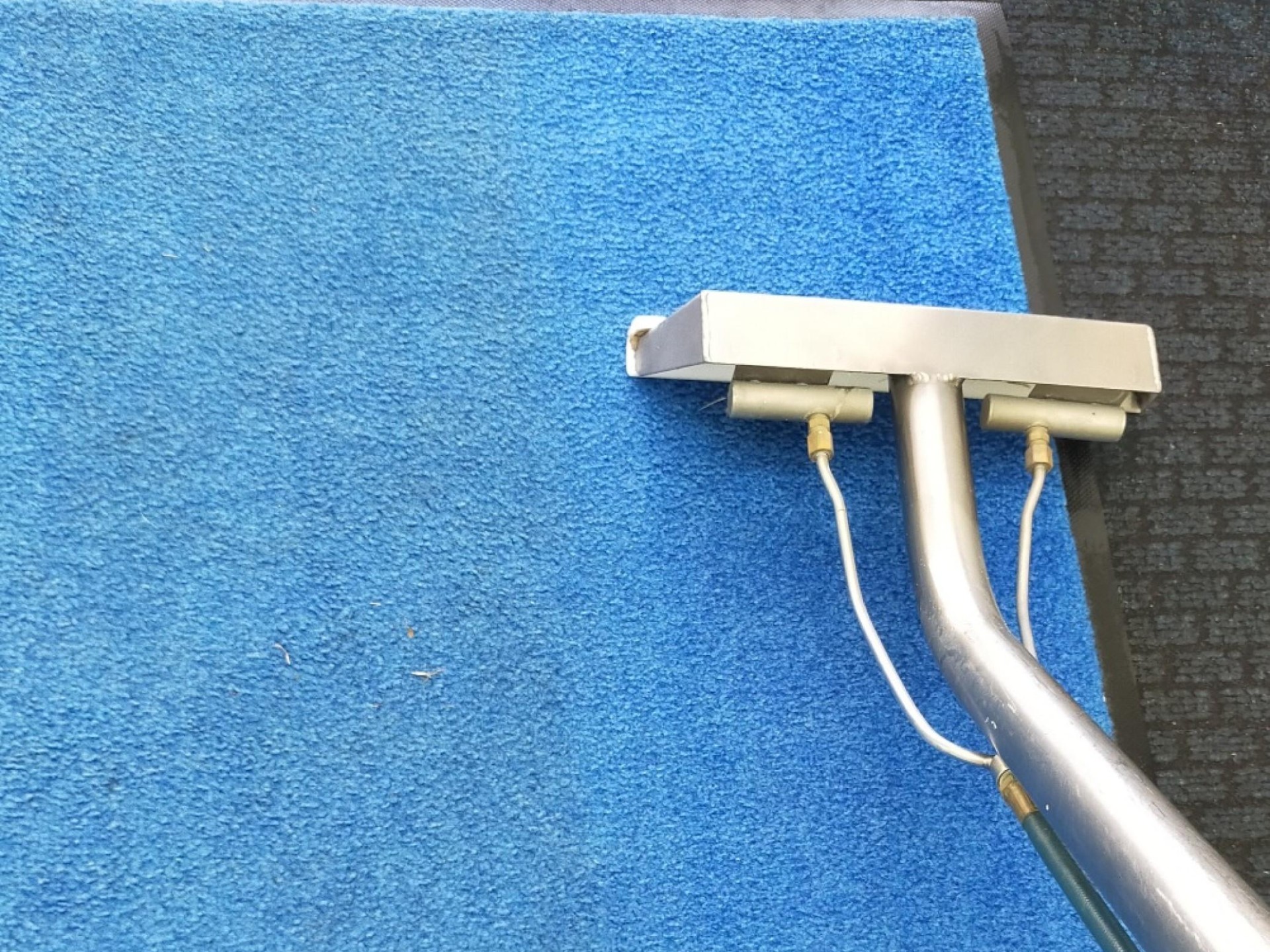 Carpet Cleaning & Pest 560456 2