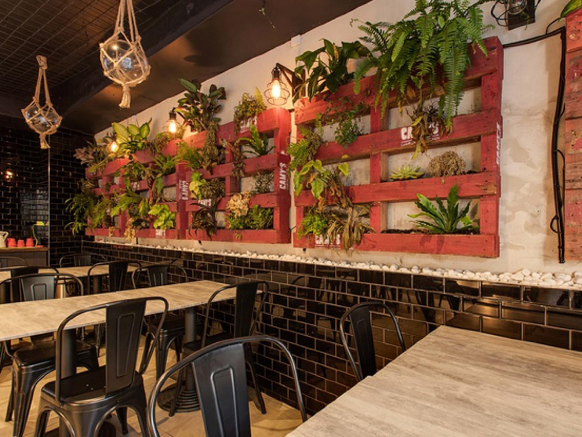 Camy’s Chargrill Chicken | 561398 3