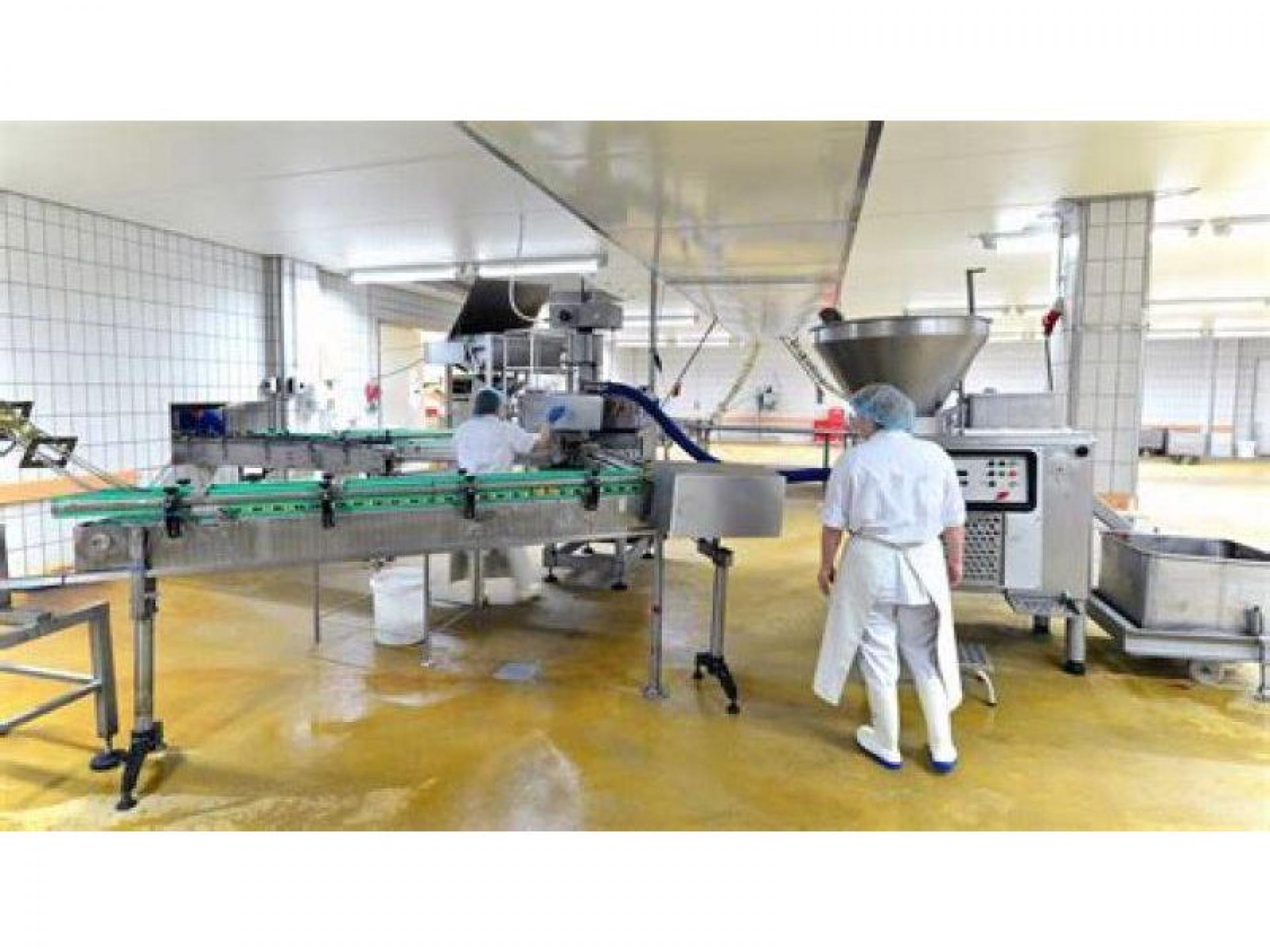 Manufacture Of Food Products 562581 1