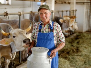 Want to buy a Livestock Business in WA?