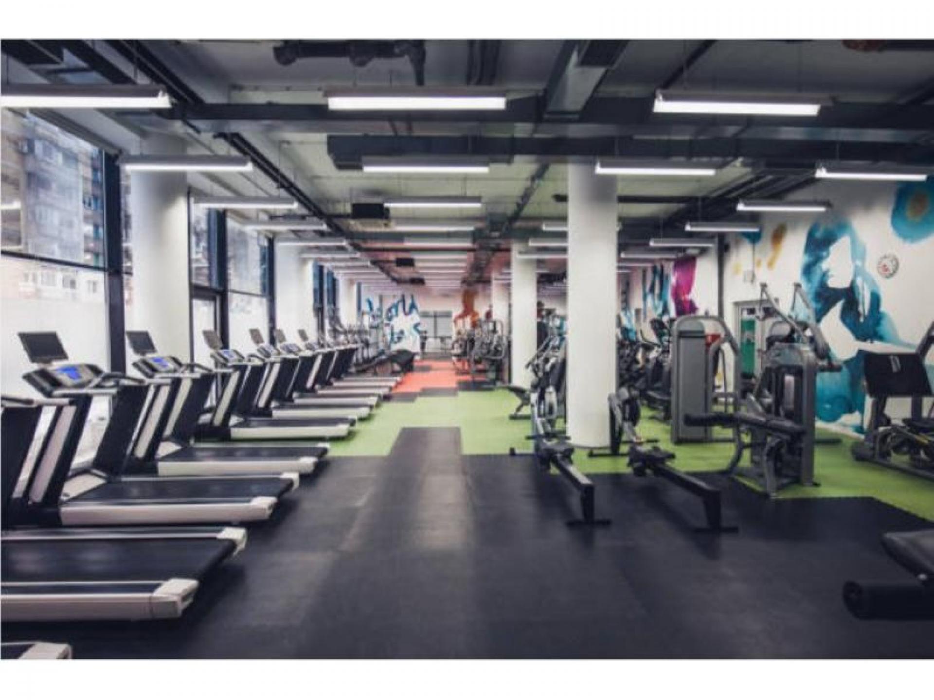 Sold! Award Winning Gym 563138 3