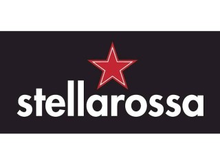 Price Reduced! Stellarossa Franchsie - Mango Hill