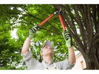 Property Maintenance Services SE QLD