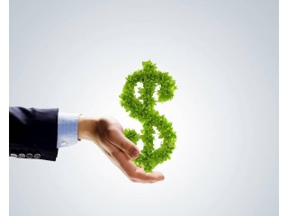 Grow your wealth in this Growing business!