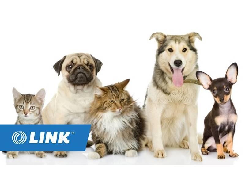 Thriving Vet Practice In 564991 1