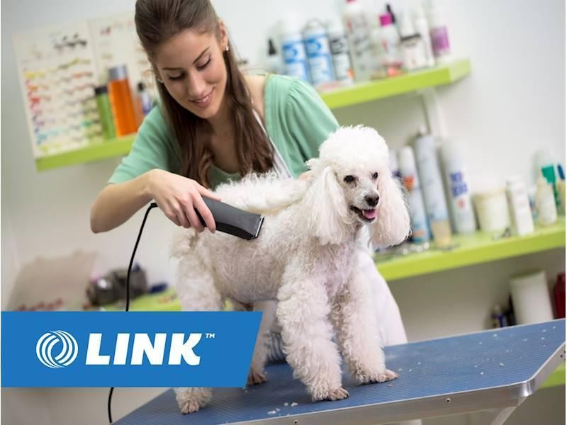 Dog Grooming Business On 565025 1