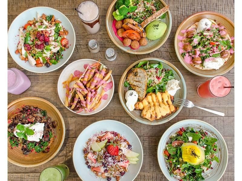 The Shed Cafe Westfield 565077 3