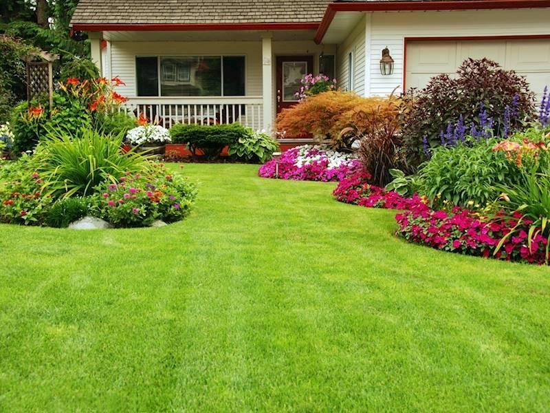 Established Sydney Garden Maintenance 565112 2