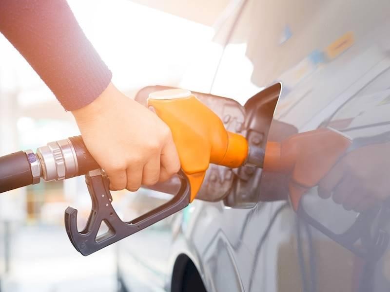 Small Busy Independently Owned 565116 3