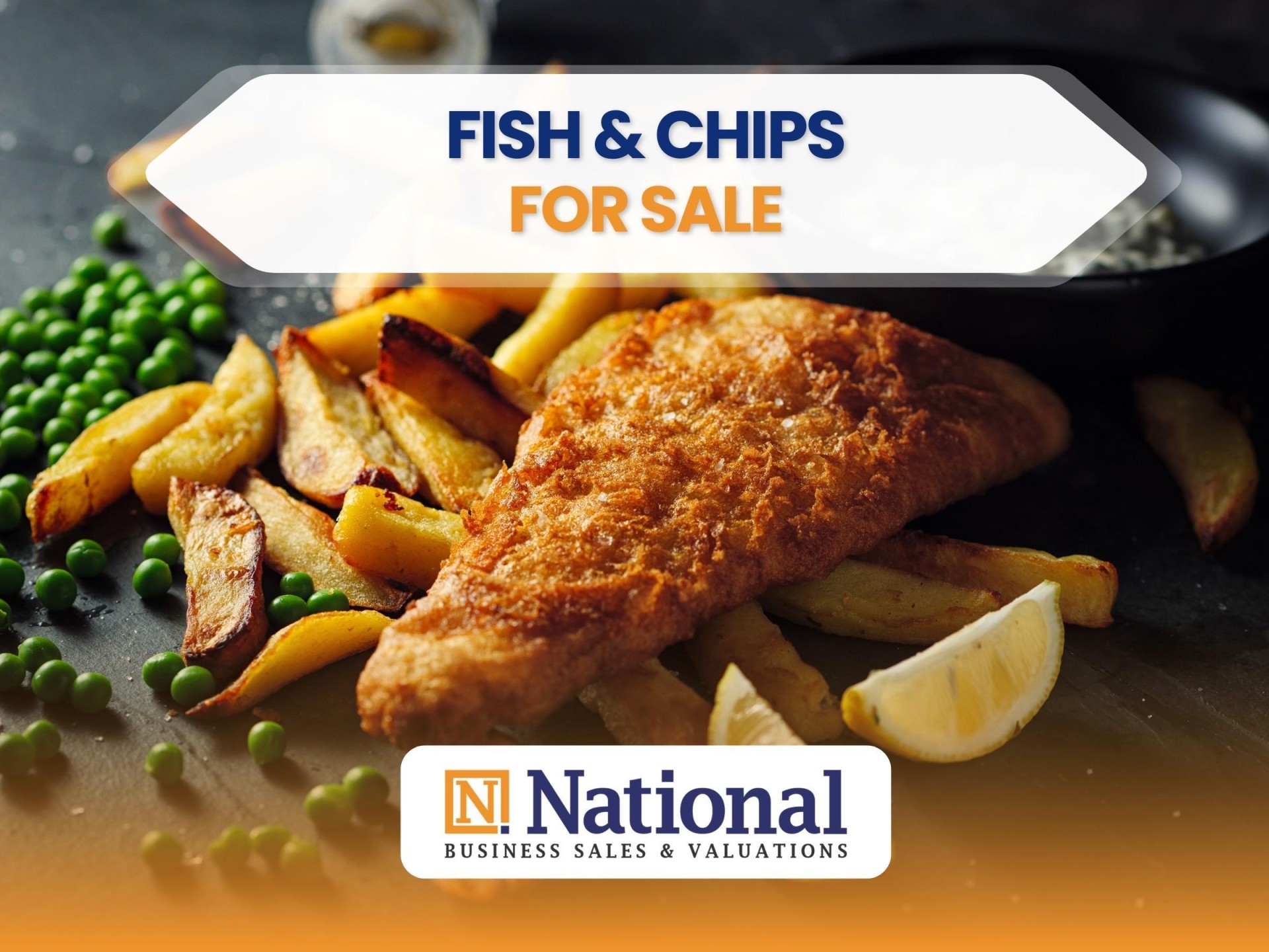 Bargain! Short Hrs! Fish 566595 1