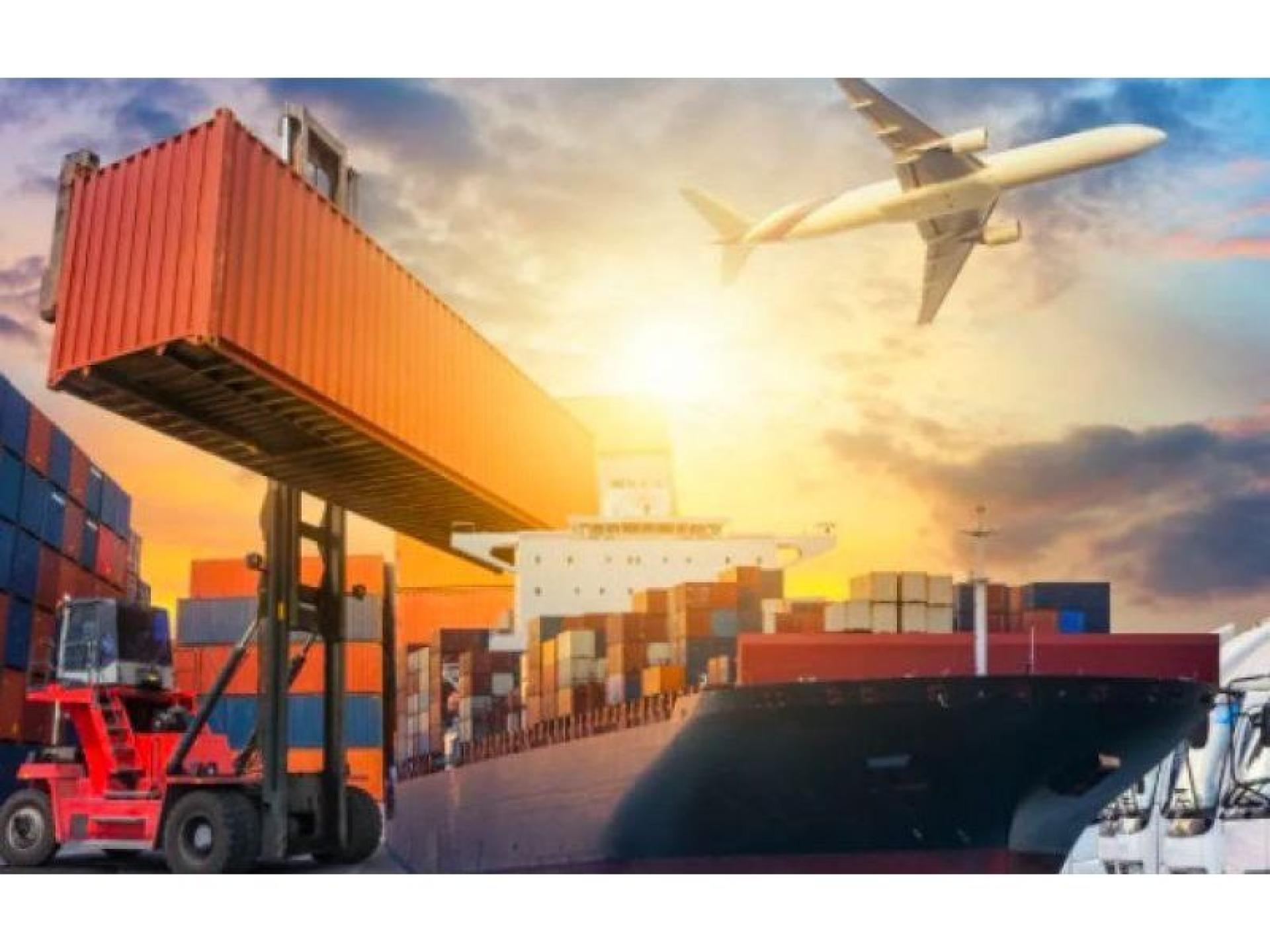 High Margin Importing Business 567063 1