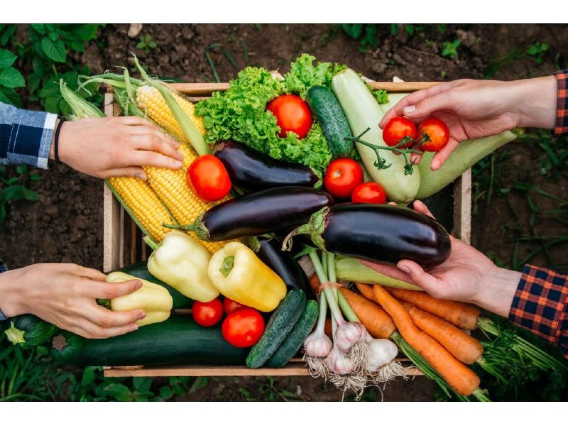 Artisan Butchery & Providore 567820 3