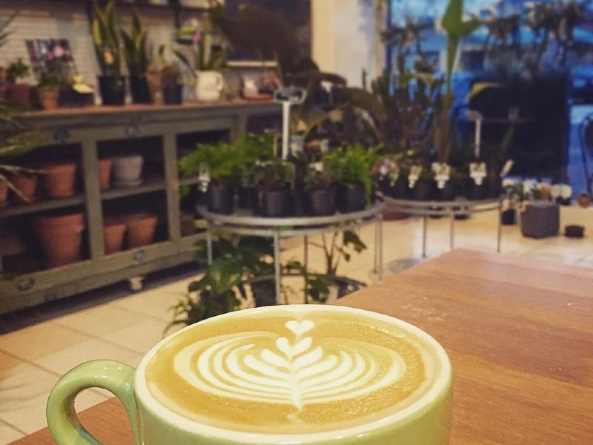 Vegan Cafe Business For 570685 2