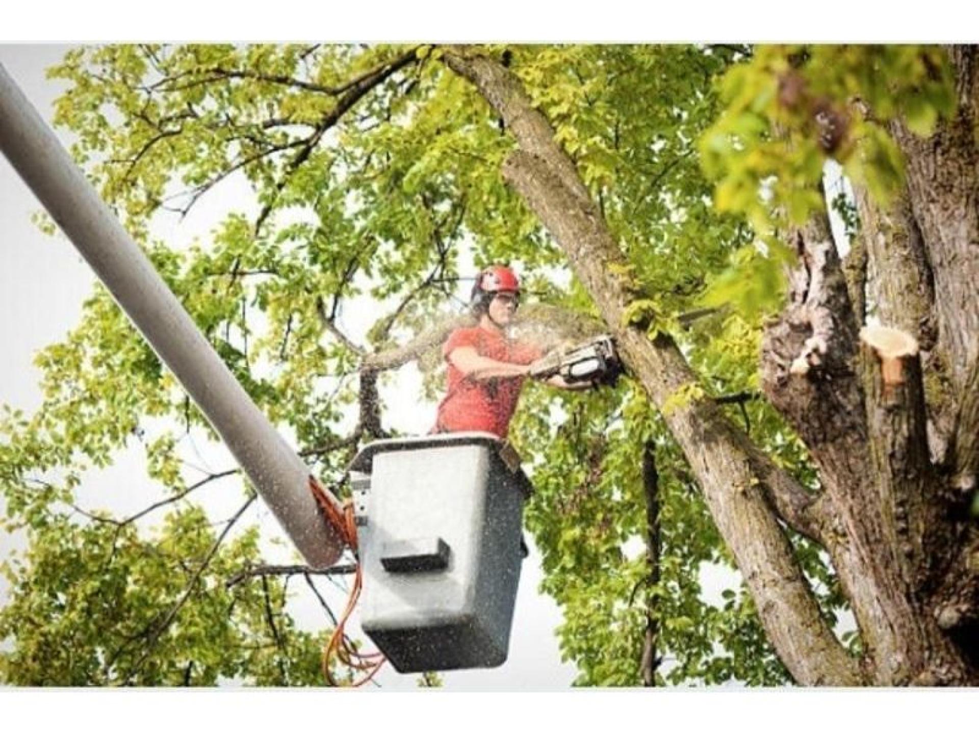 Thriving And Profitable Provider 572940 1