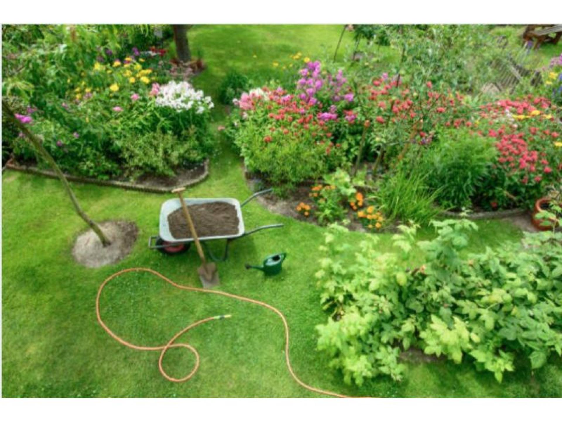 Sold! Established Central Coast 572949 1