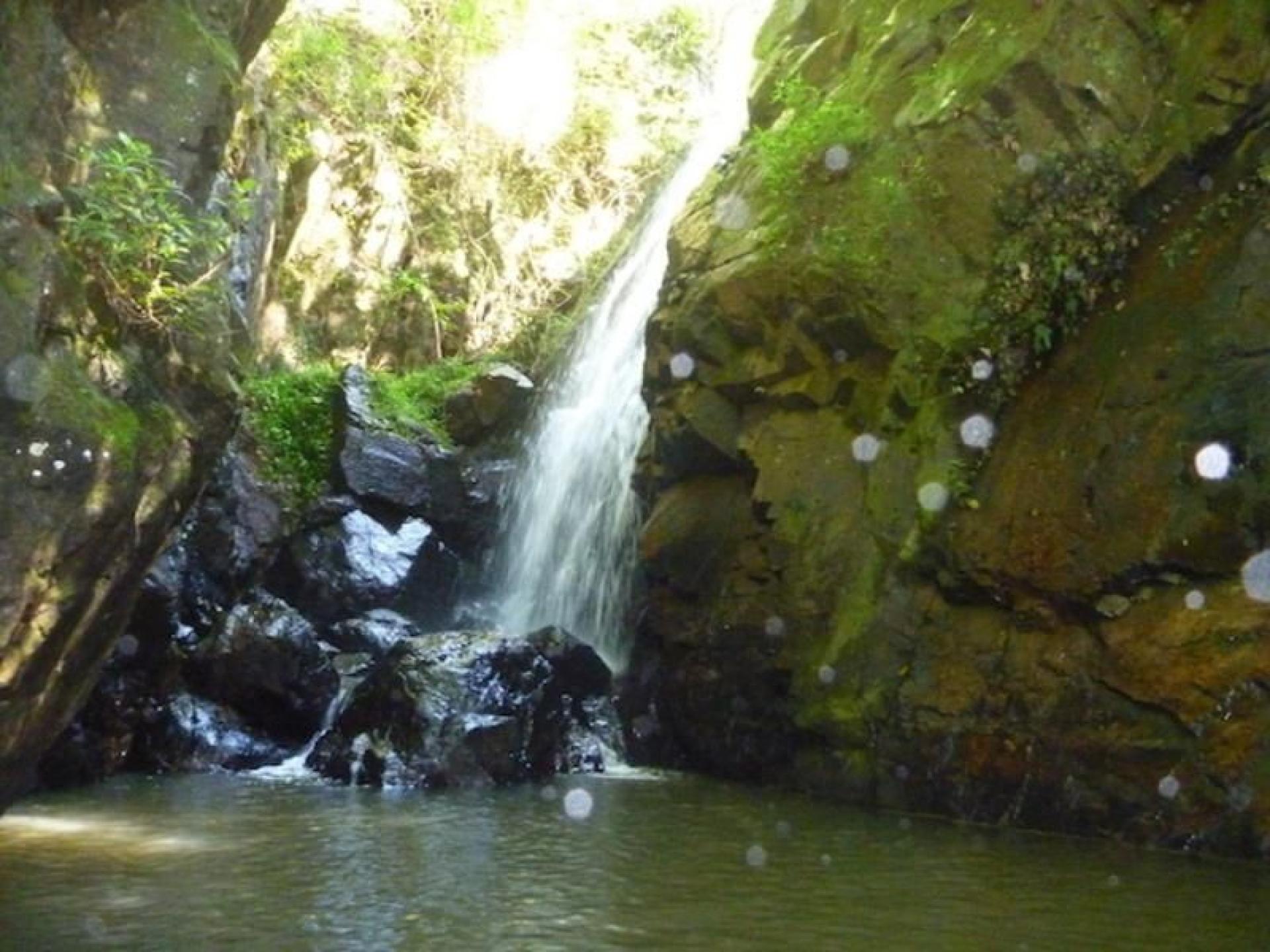 Sunshine Coast Lifestyle Property 572967 2