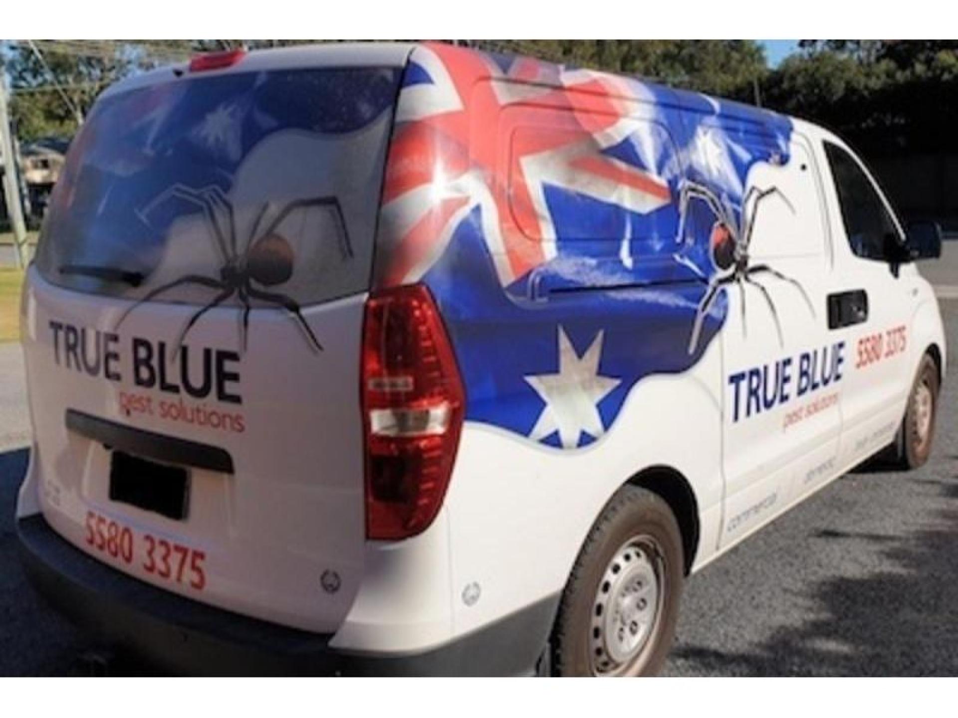 Sold! Mobile Pest Control 573045 2