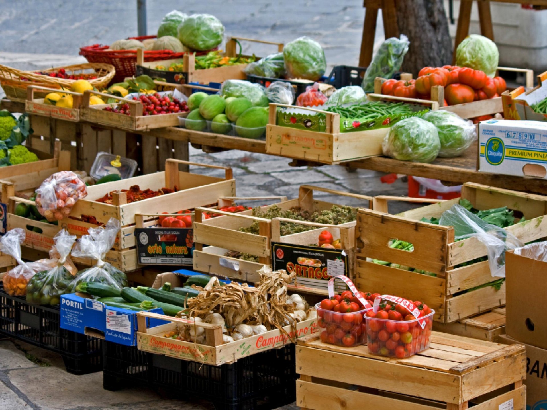 Fruit & Vegetable Wholesale 573084 2