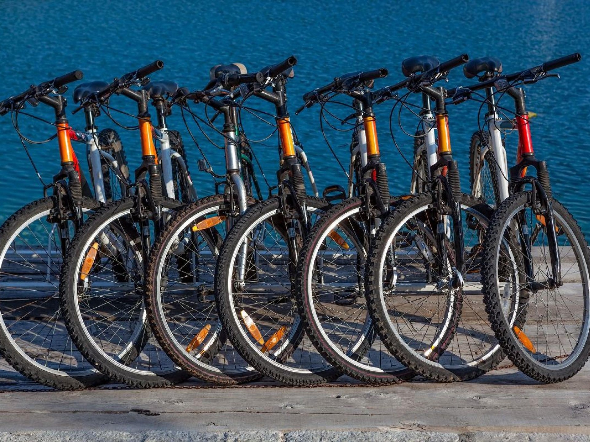 Automatic Bike Hire – 575431 2