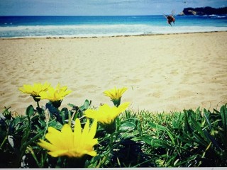 Sandy Foot Pizza Cafe