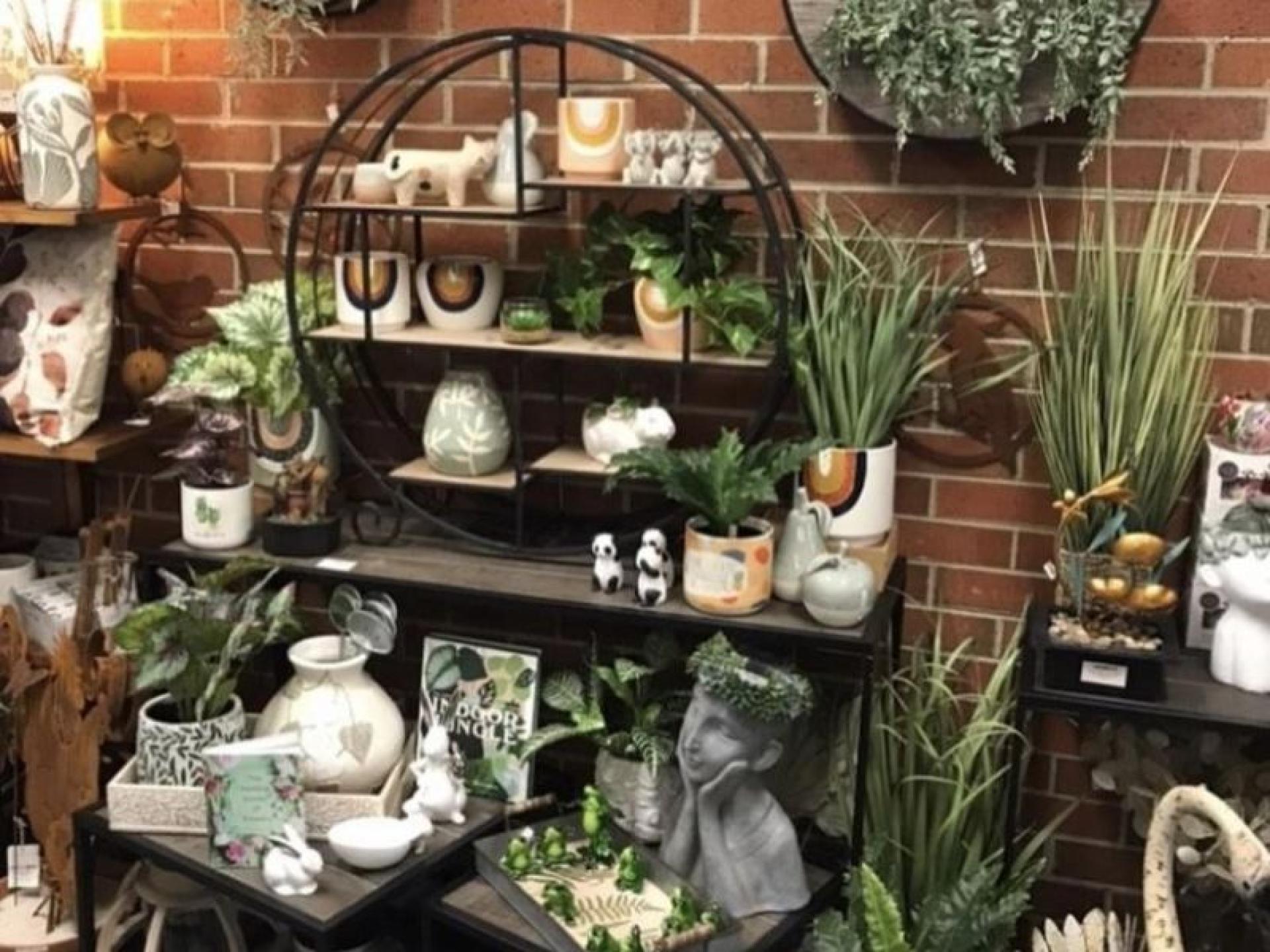 Amazing Gift Shop For 577988 2