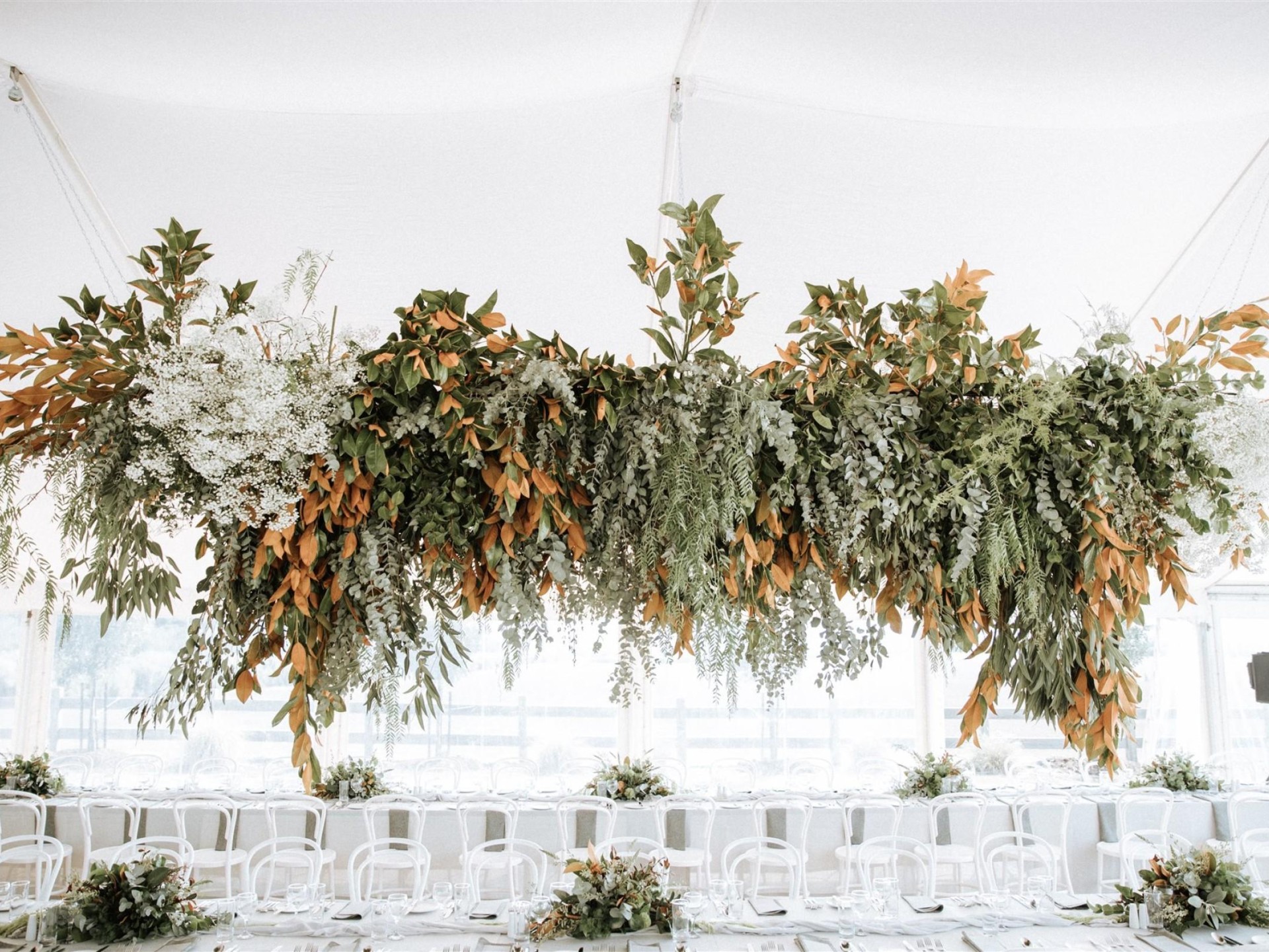 Well Known Established Wedding 582767 3