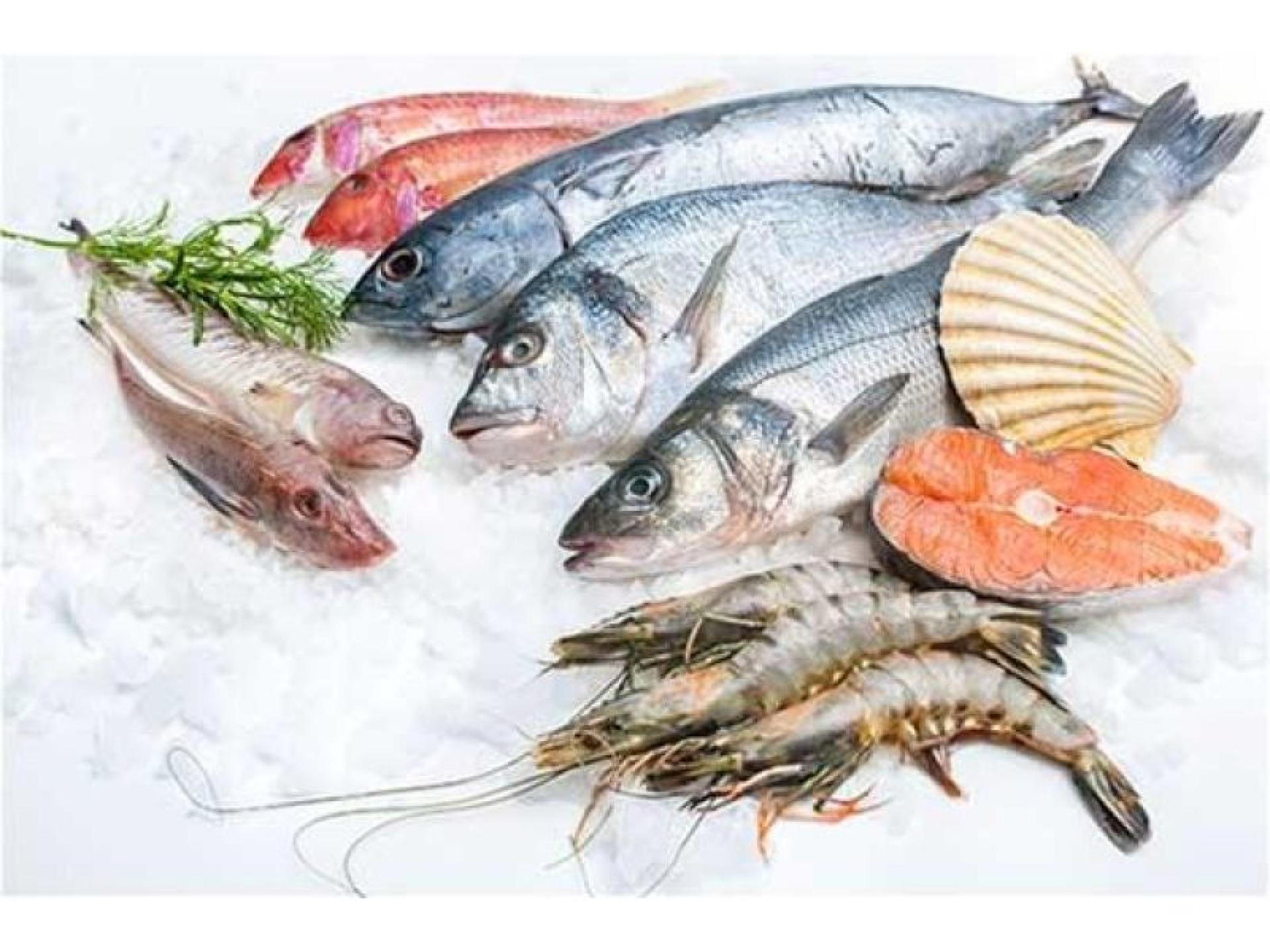 Fresh Food Processor/distributor 583794 1