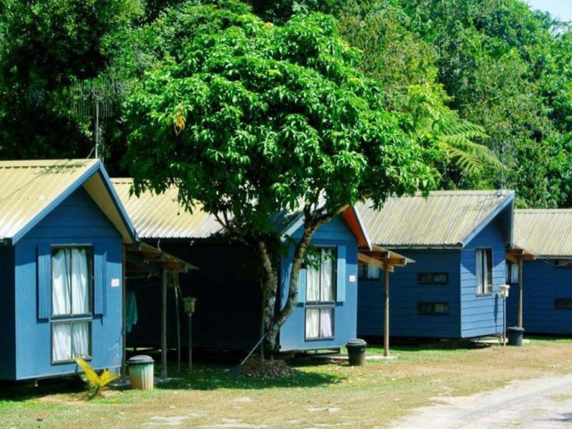 Freehold Tropical Rainforest - 583933 1