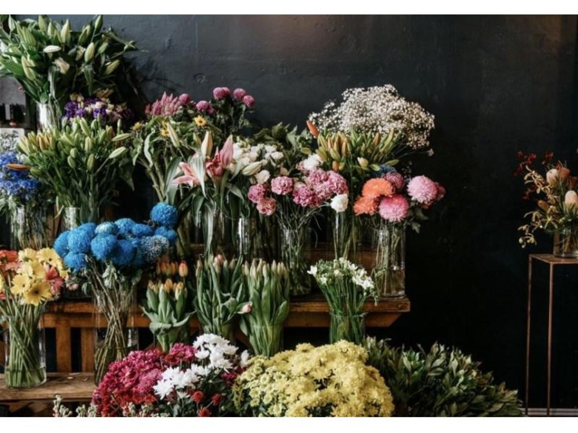 Established Highly Profitable Florist 583985 1