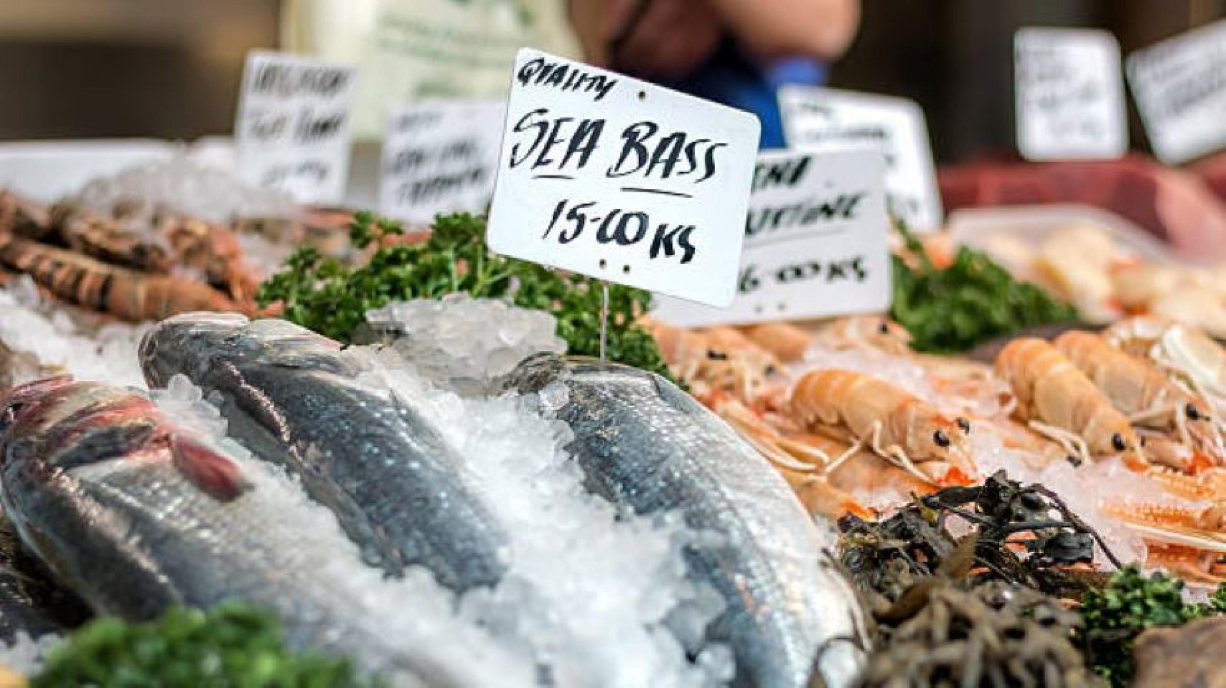 A1 Retail Seafood – 585554 1