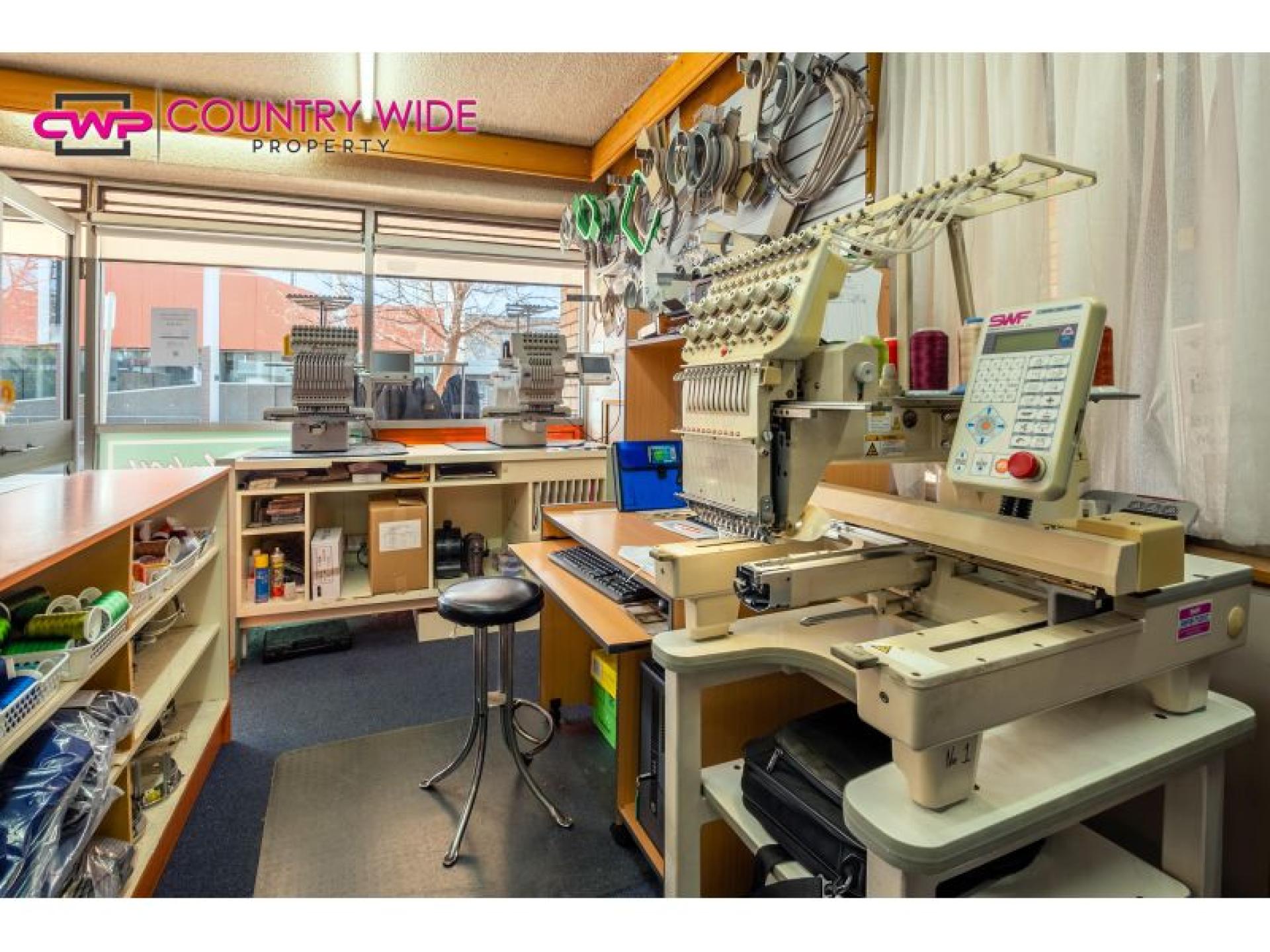 Profitable Dry Cleaning Business 589049 1