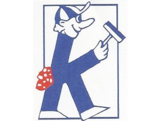 Window Cleaning Business For Sale