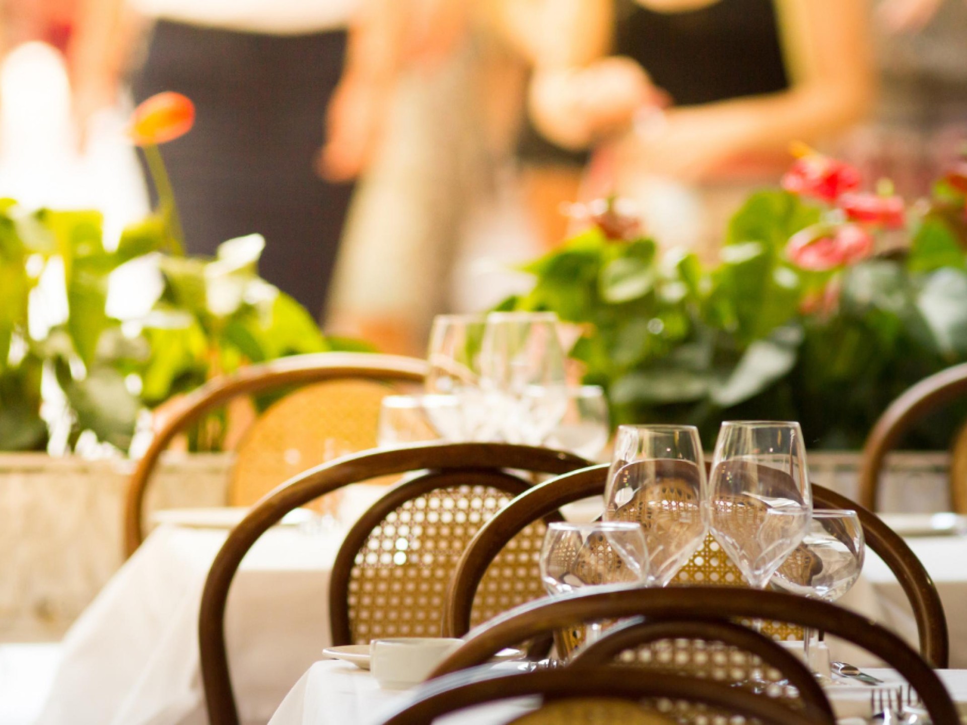 Authentic Italian Restaurant Business 592685 1