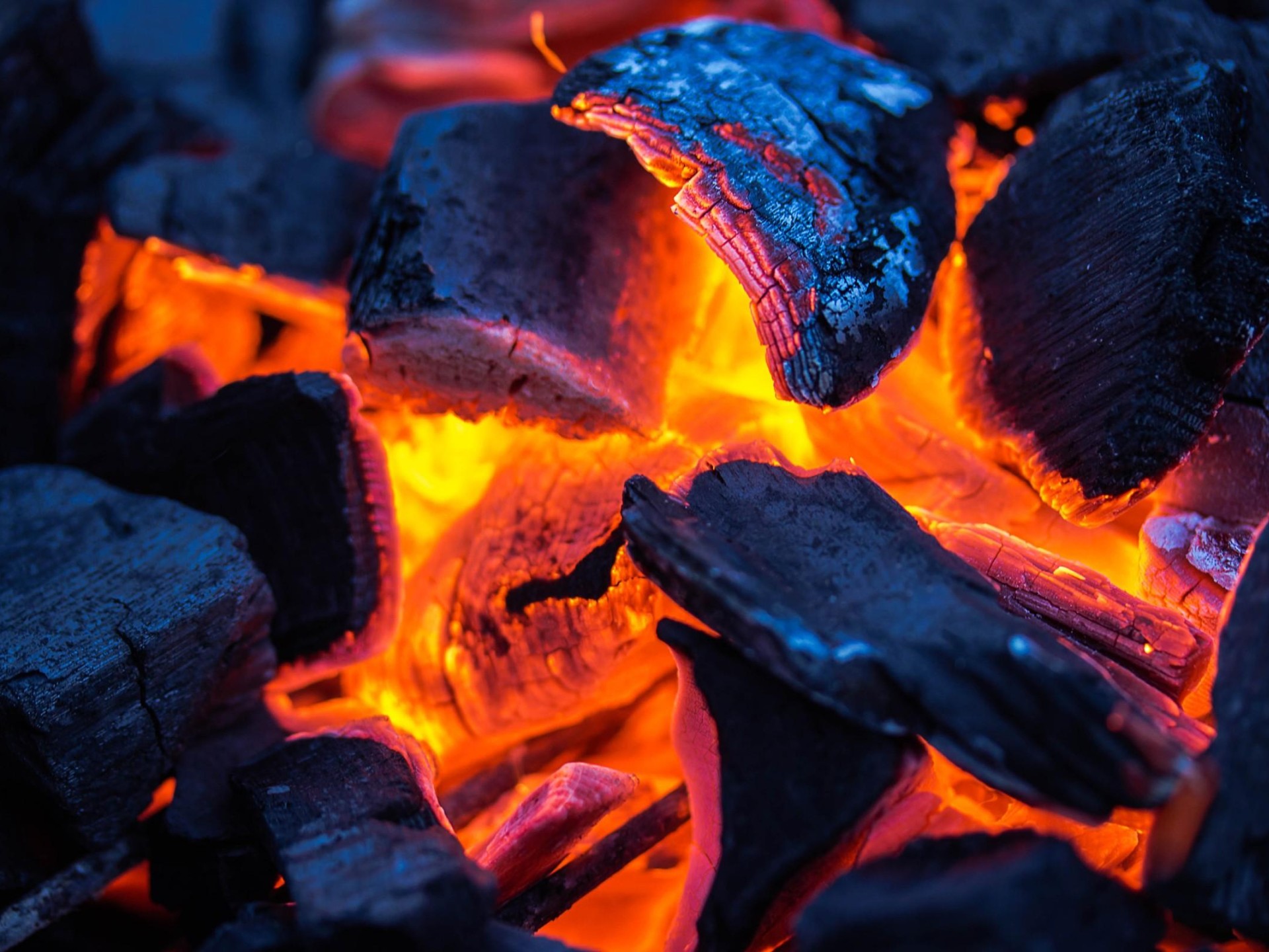 Busy Charcoal Chicken Shop 593352 3