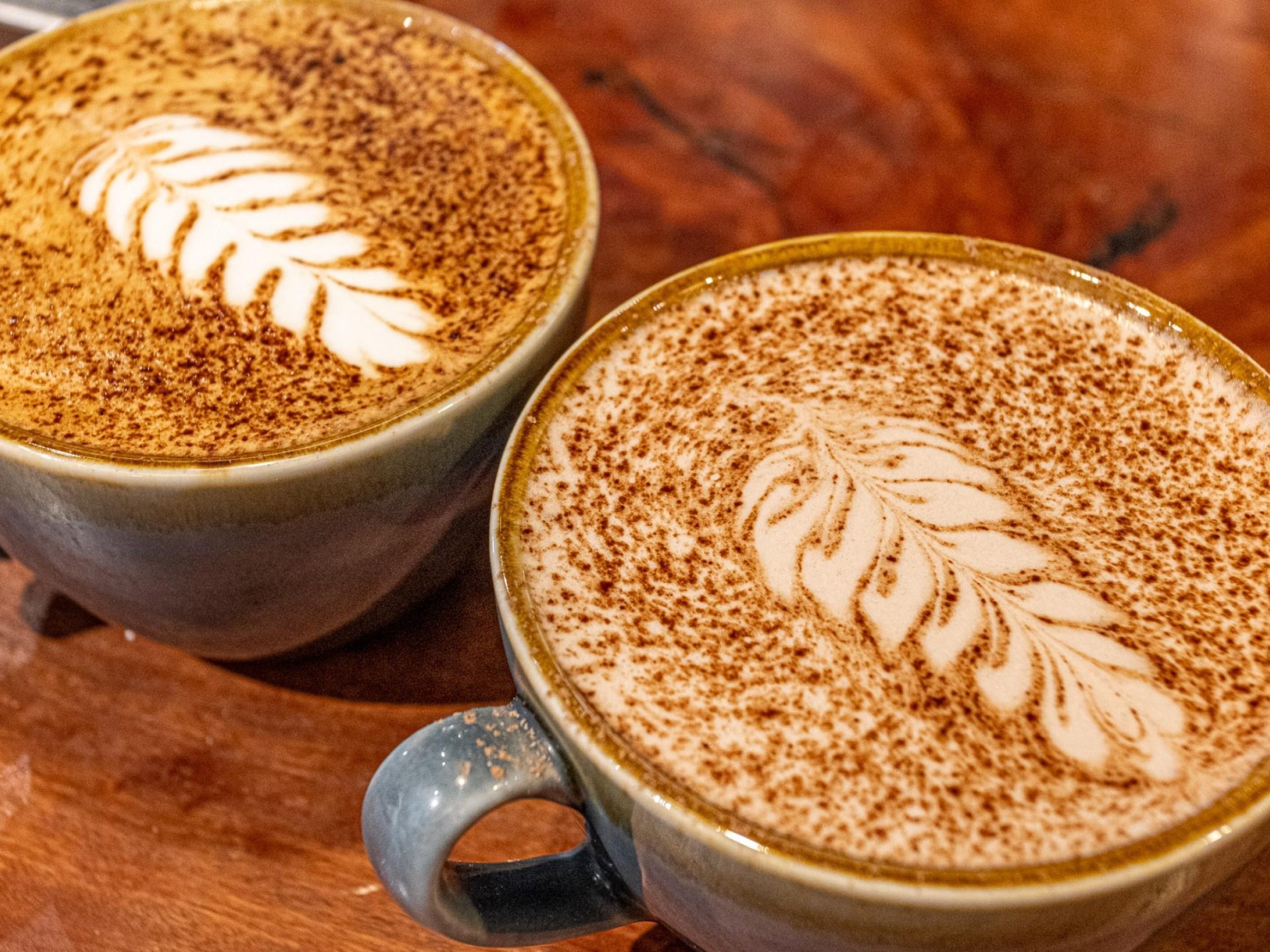 South Sydney CafÉ | 593994 2