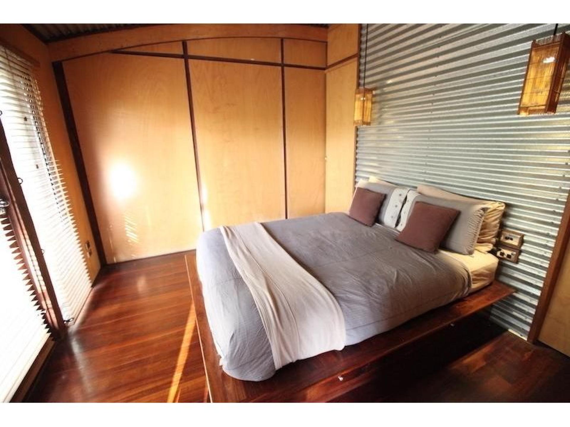 The Odd Frog – 594169 2