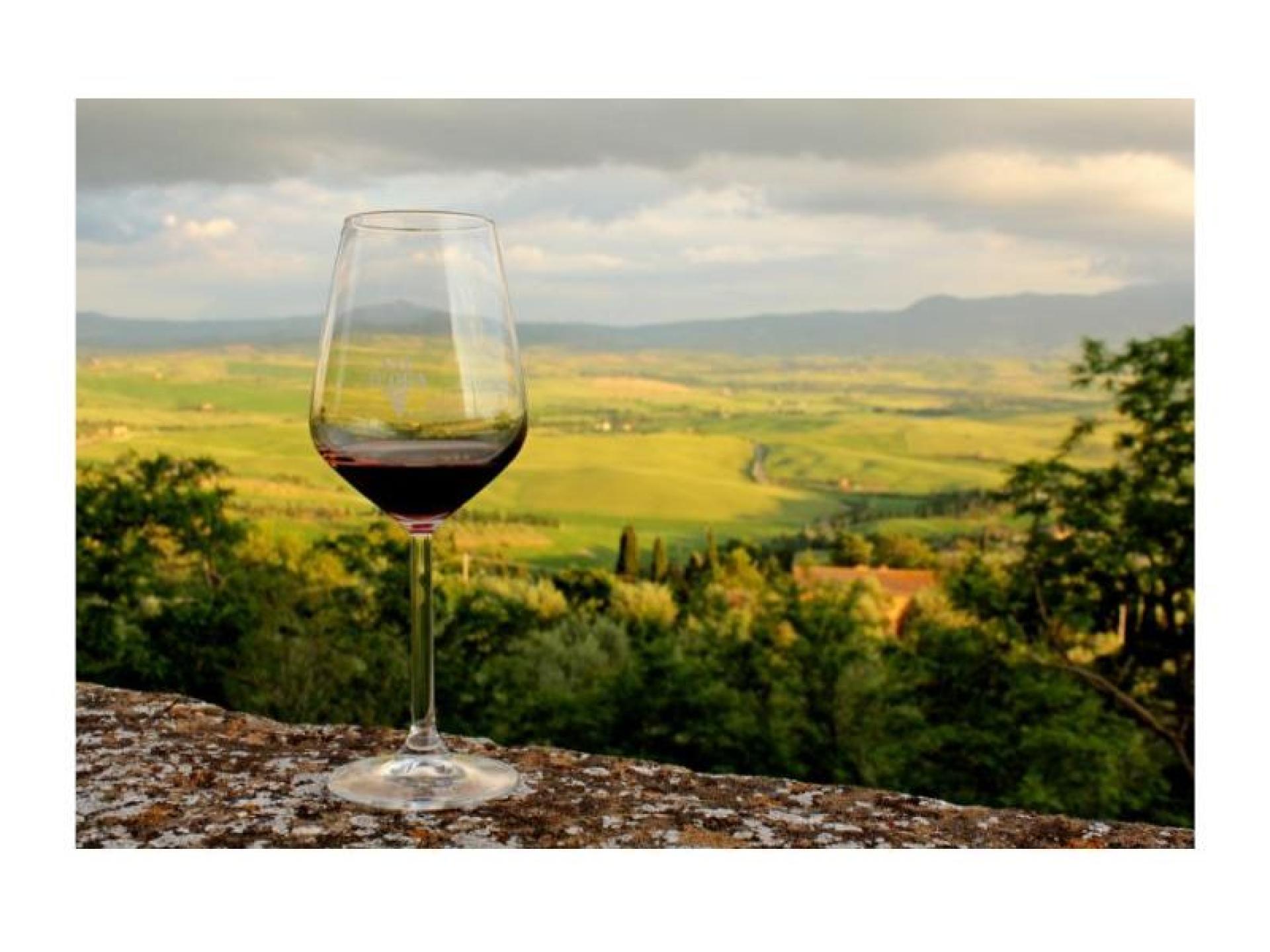 Ted’s Tours – Wine 594176 2