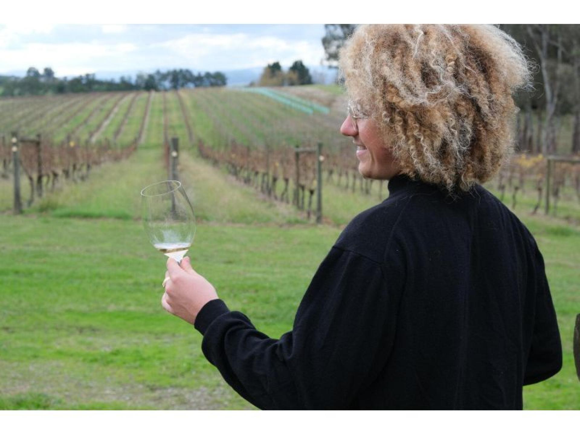 Ted’s Tours – Wine 594176 1