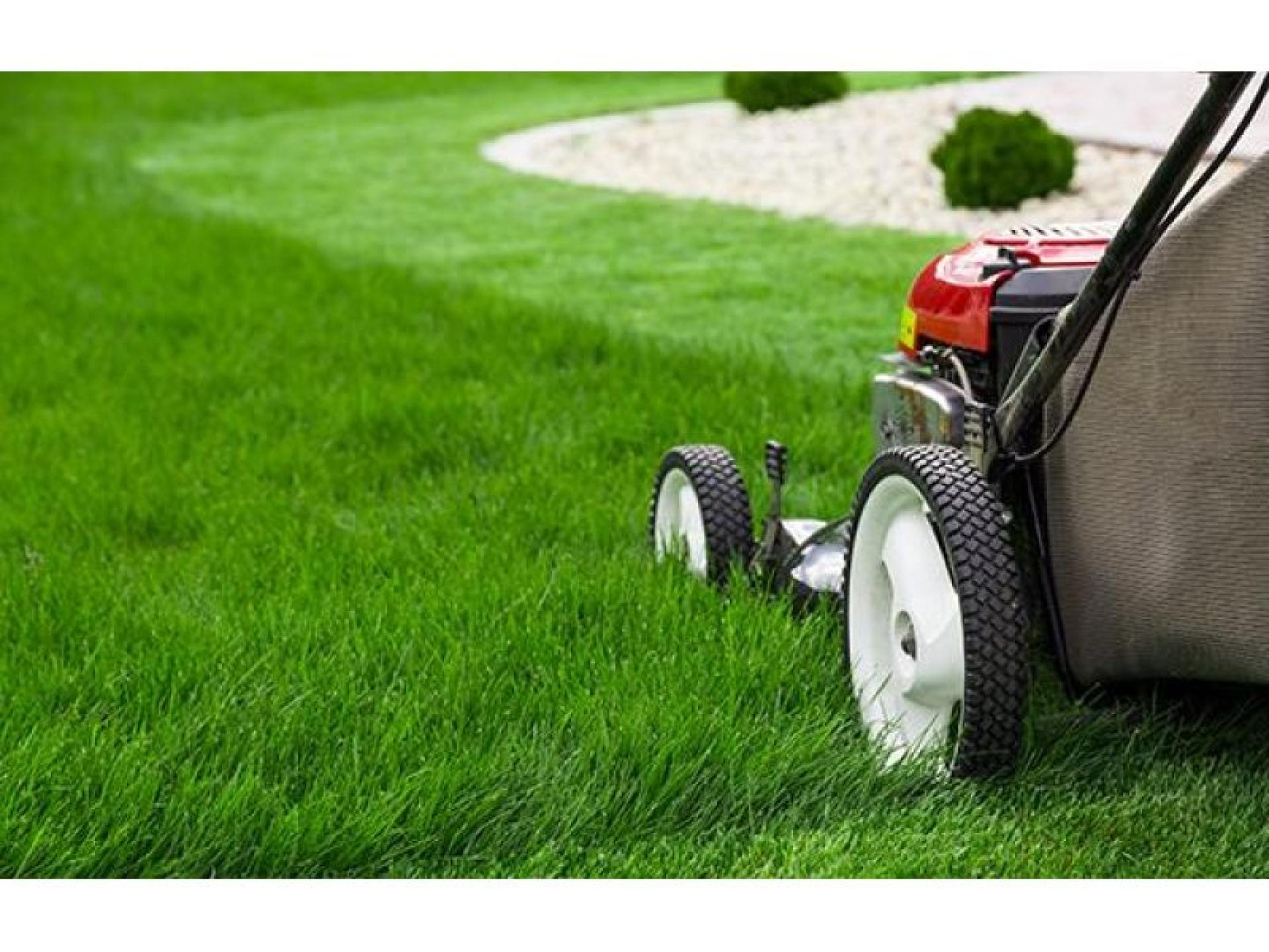 Sold! Lawn Mowing And 594230 1
