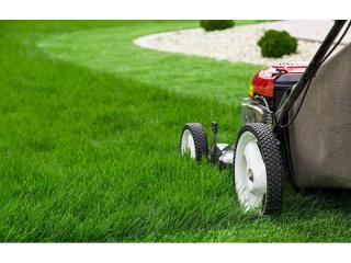 SOLD! Lawn Mowing and Gardening Business in Seaside Apollo Bay - VIC