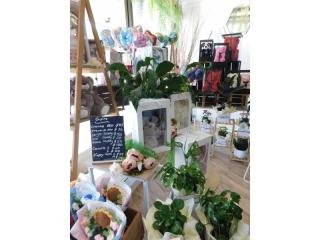 Somerville Florist and Hampers – A Prime Business Opportunity for a Qualified Florist