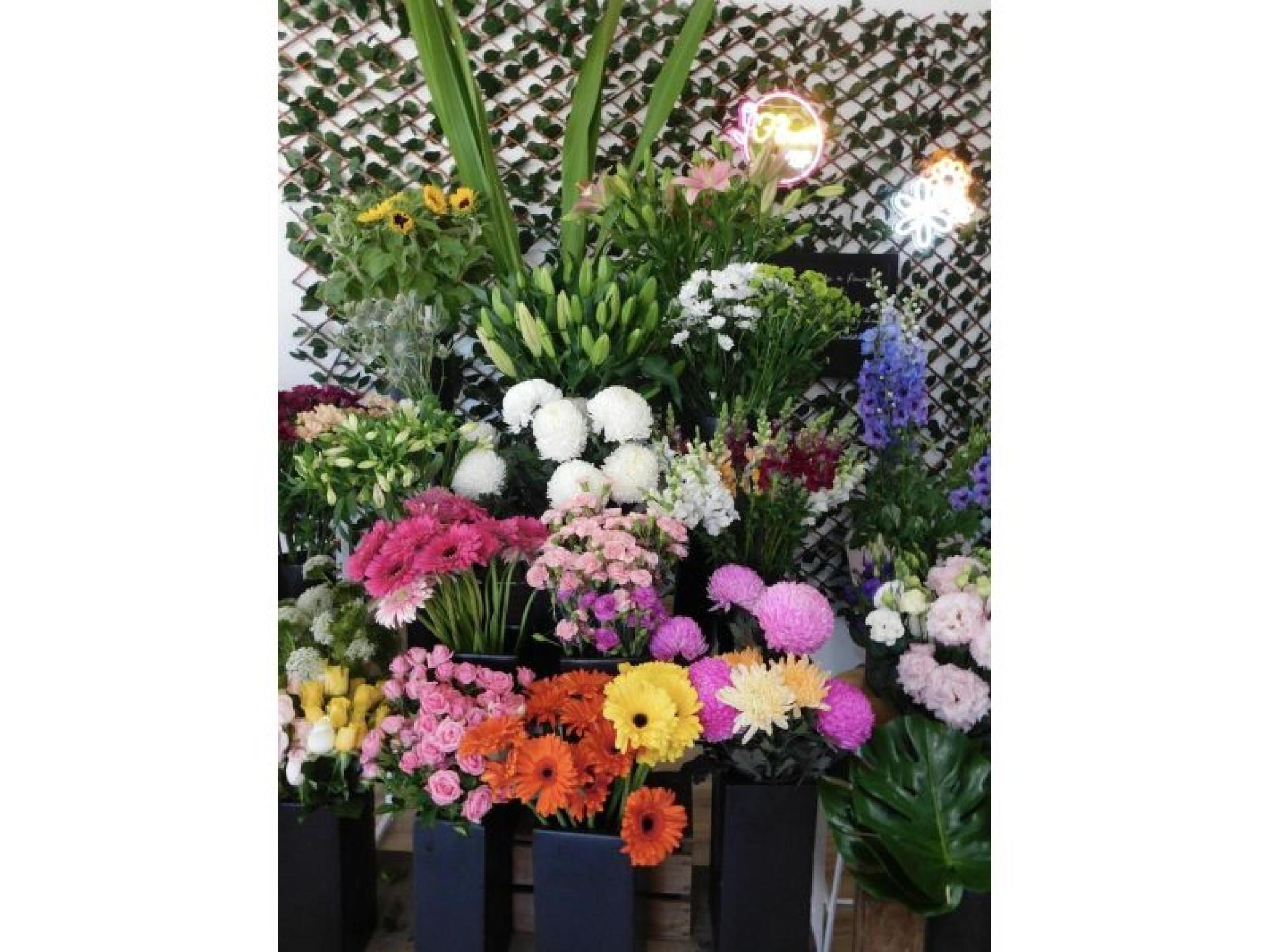 Somerville Florist And Hampers 594340 2