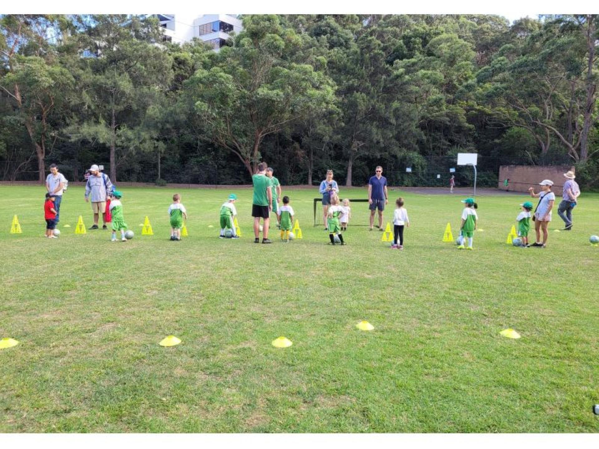 Grasshopper Soccer Franchise Opportunity 594437 3