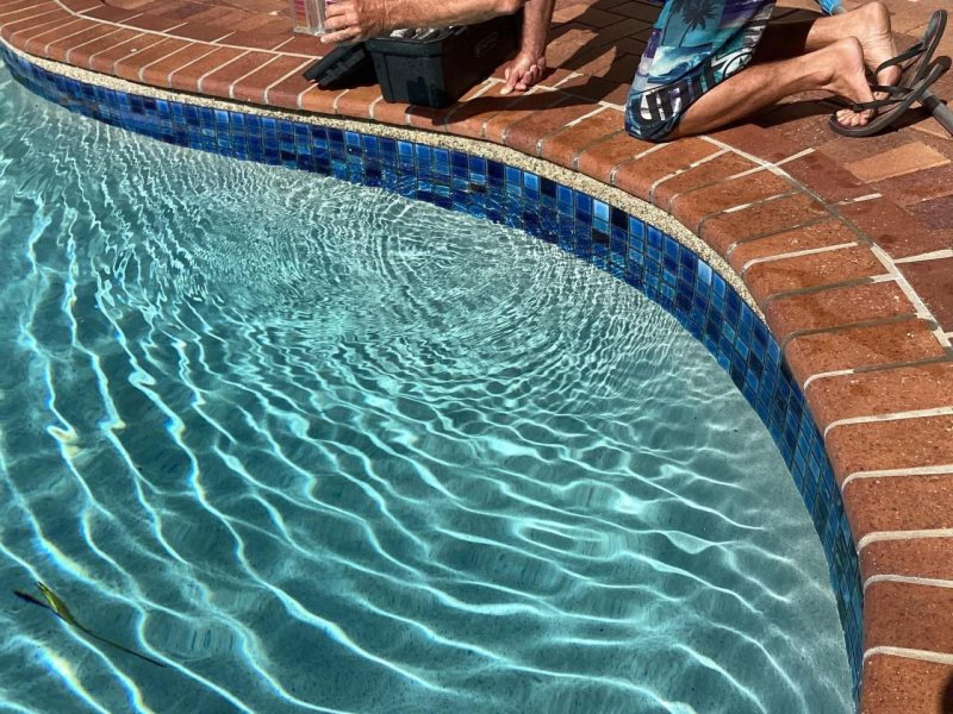 Sold-established Pool Services Business 594512 3