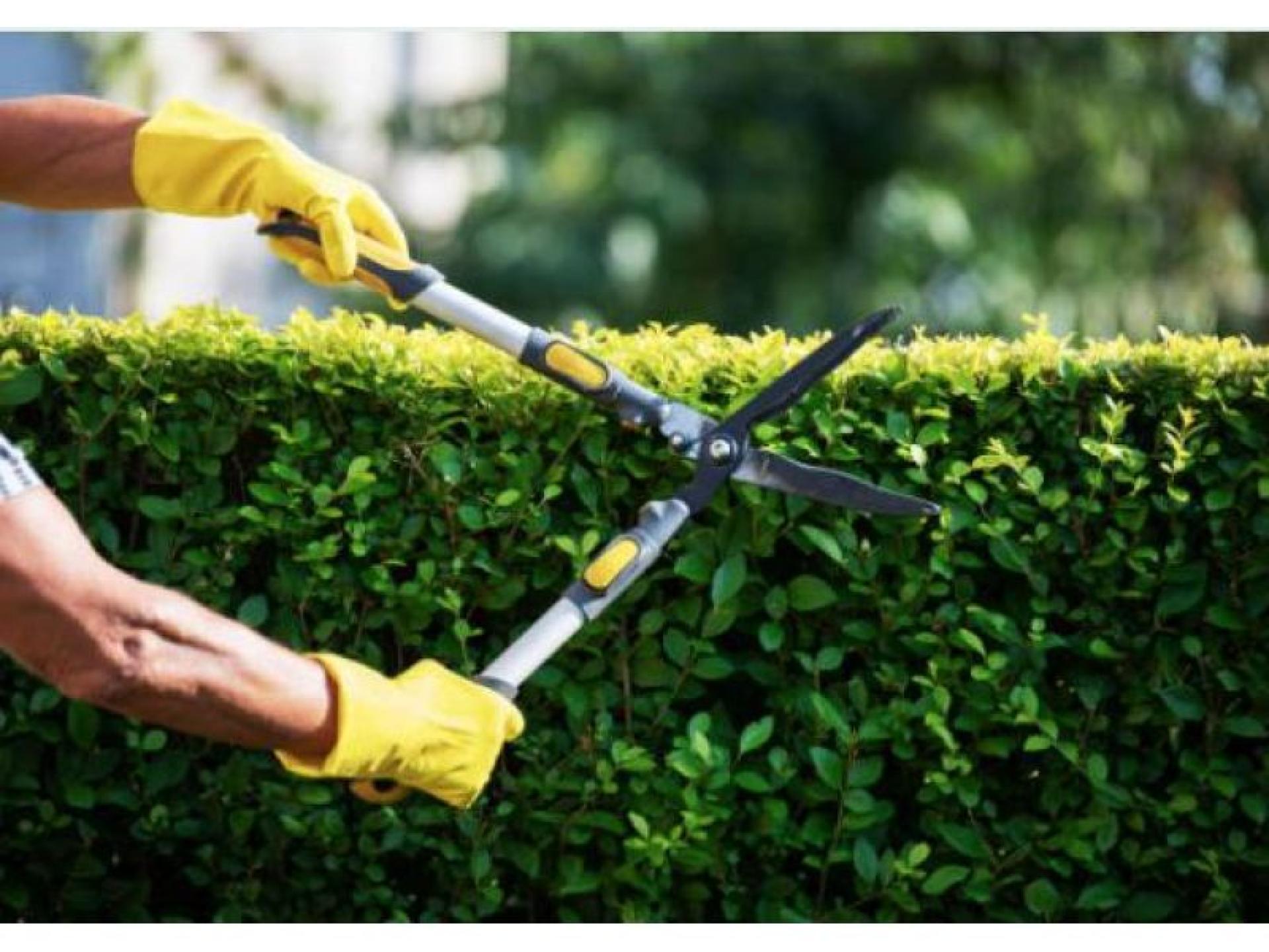 Under Offer! Garden Maintenance 594593 1