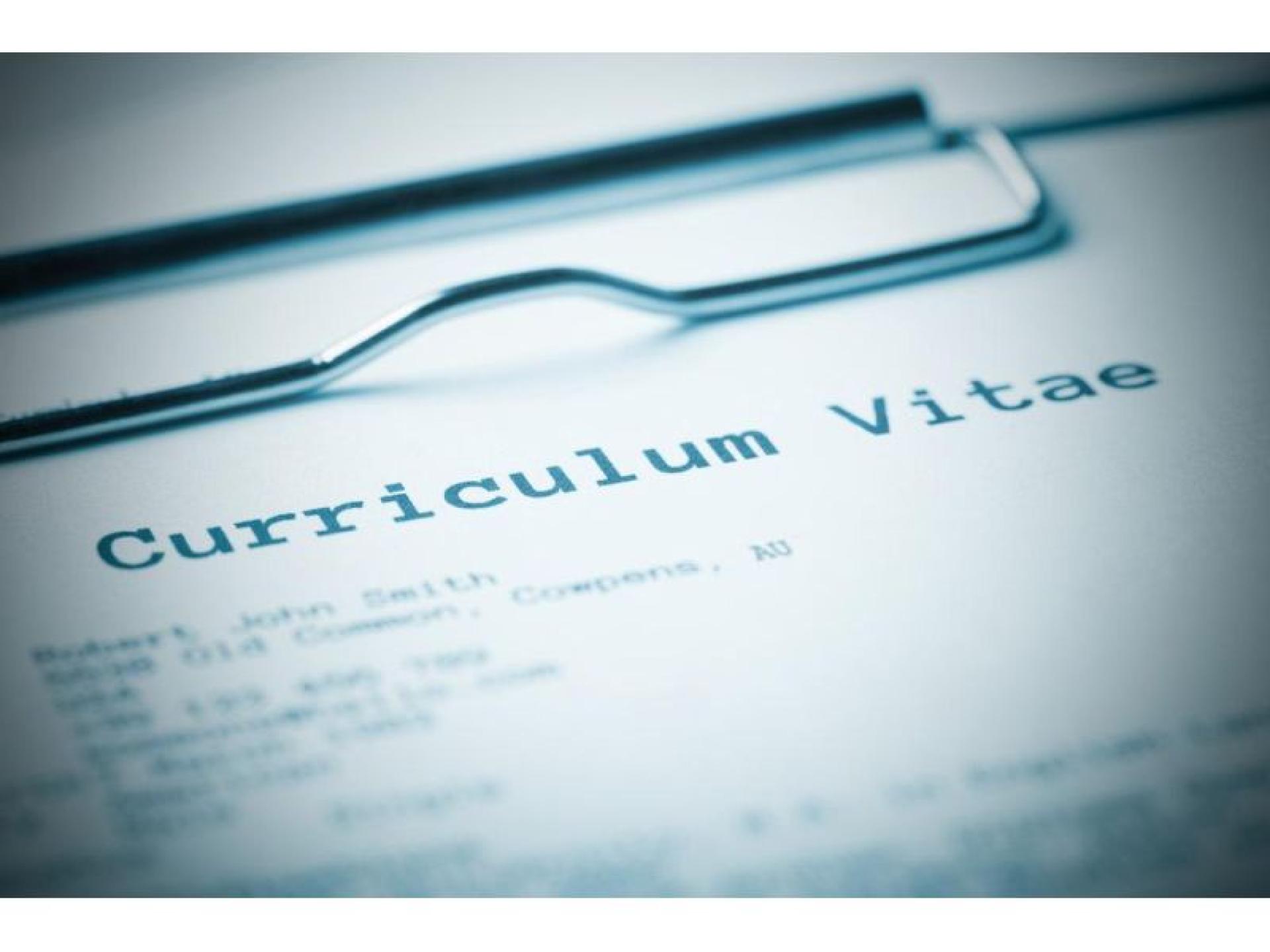 Cv Writing And Career 595119 2