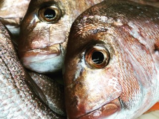FRESH Fish Shop Amazing opportunity- EBS