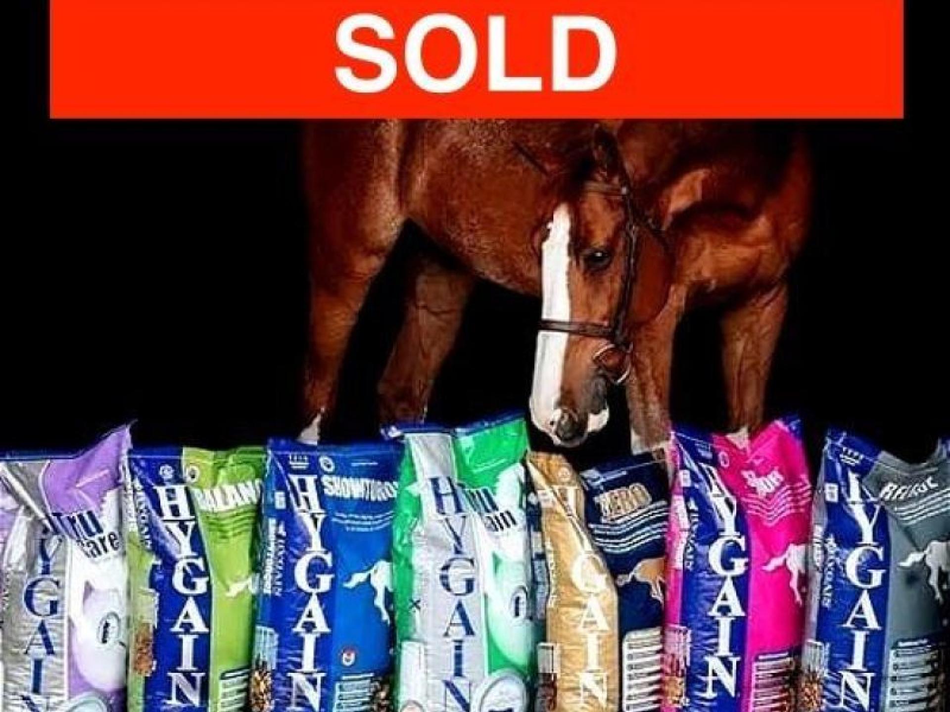 Sold - Stockfeed & 597659 1